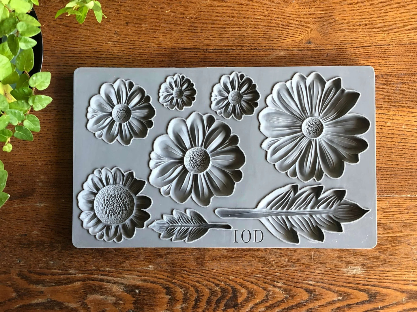 HE LOVES ME 6X10 IOD MOULDS