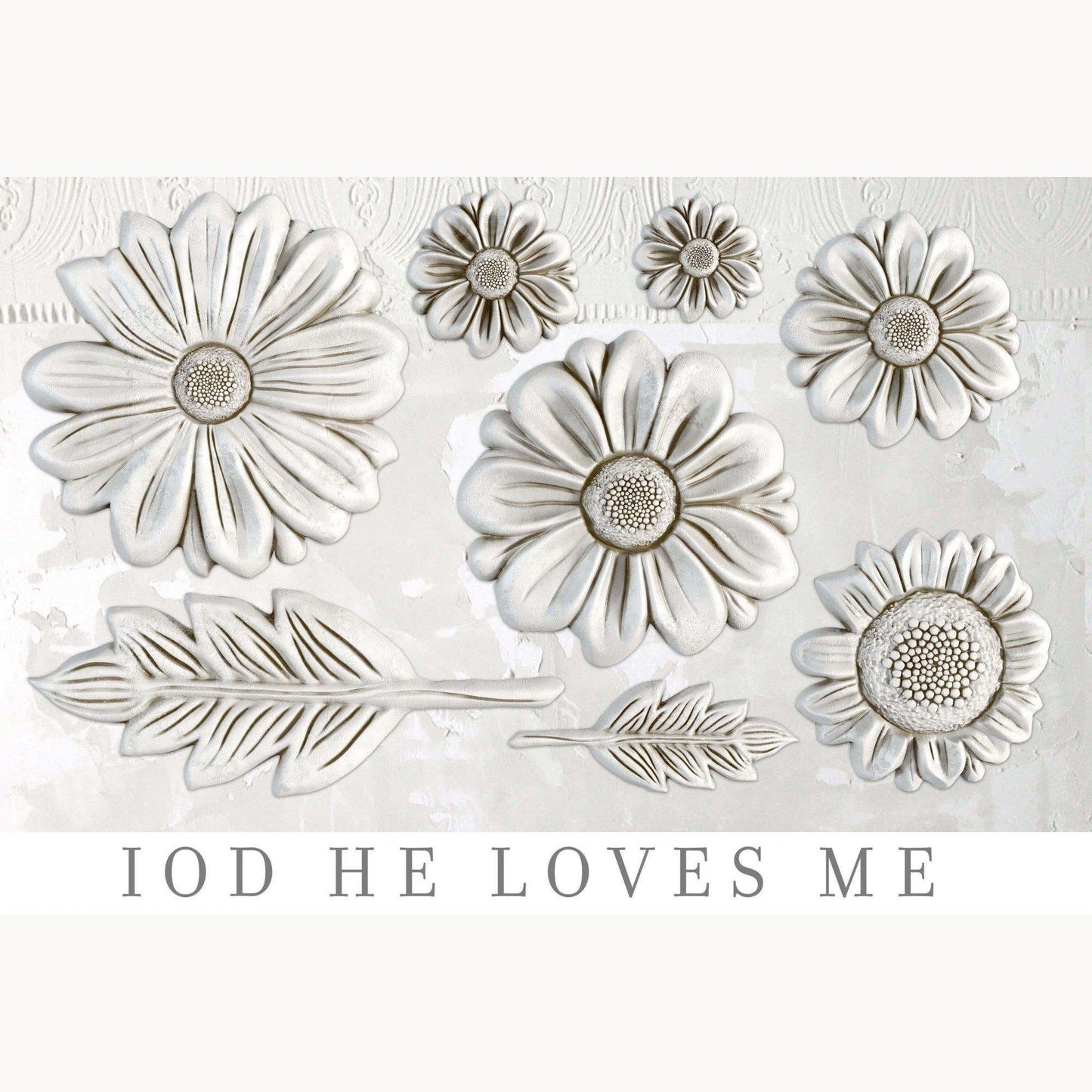 HE LOVES ME 6X10 IOD MOULDS