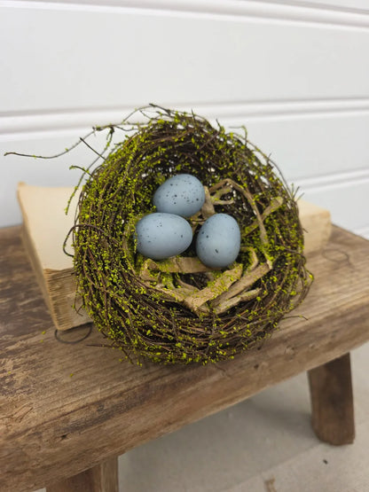 5" mossy nest with blue eggs
