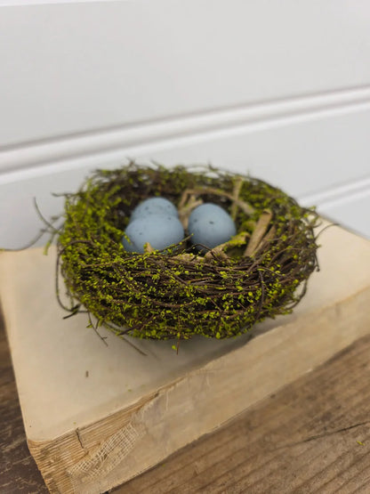 5" mossy nest with blue eggs
