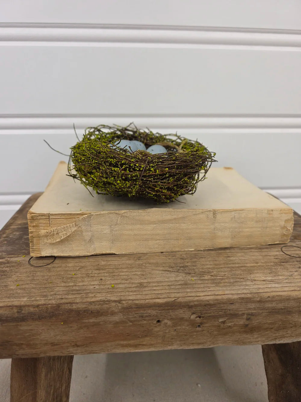 5" mossy nest with blue eggs