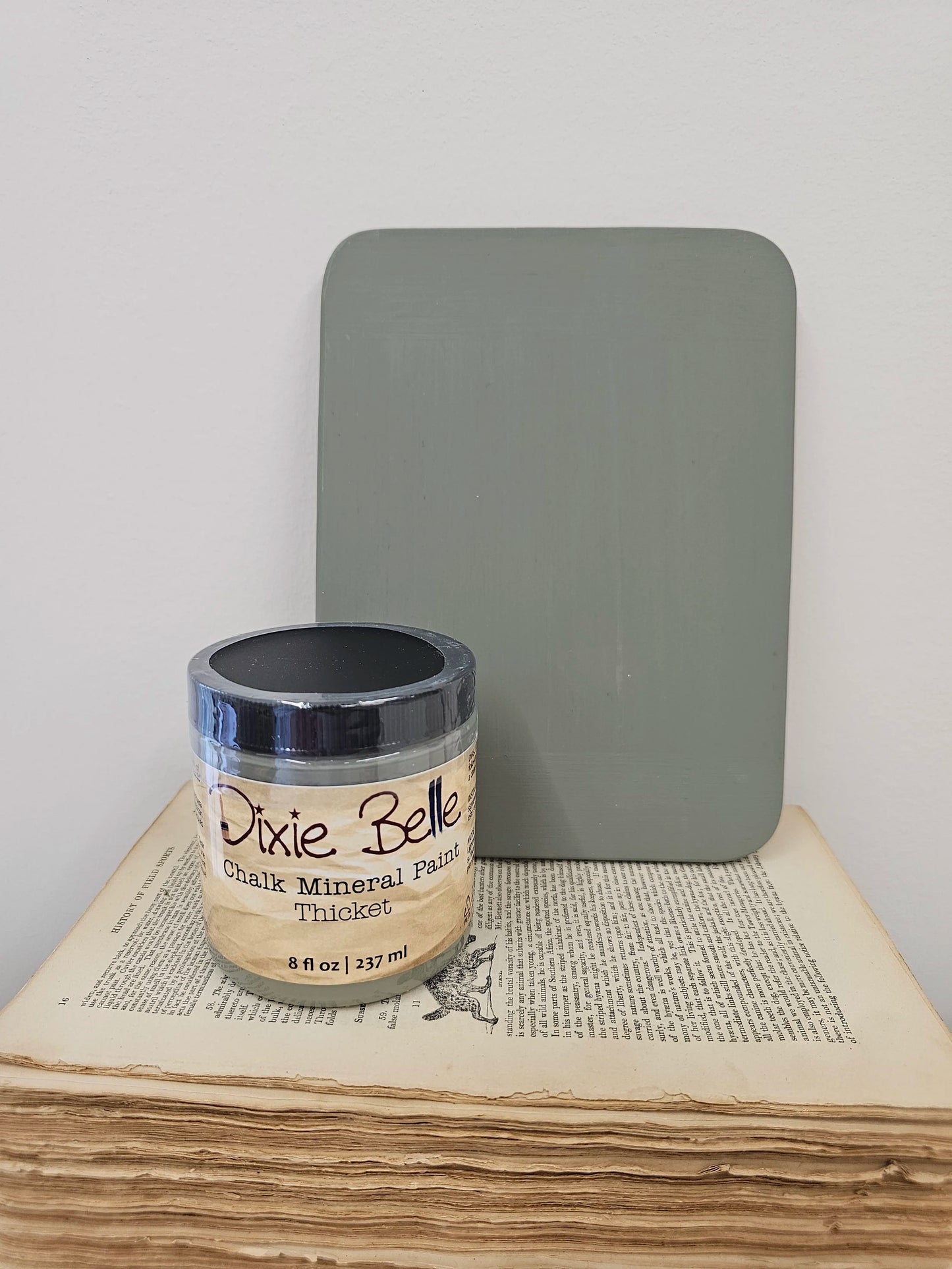 Thicket  - Dixie Belle Chalk Mineral Paint
