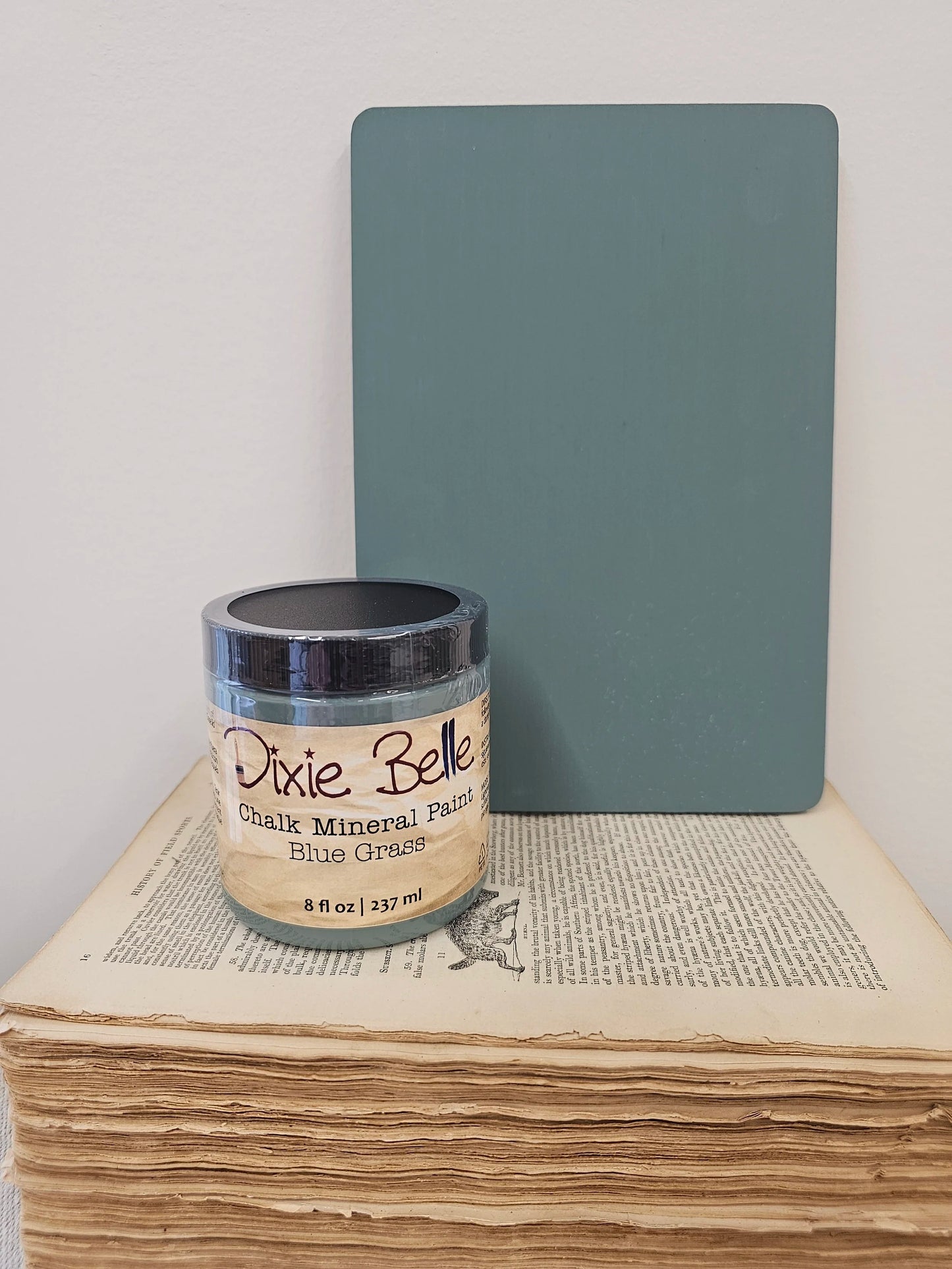 Blue Grass - Dixie Belle Chalk Mineral Paint