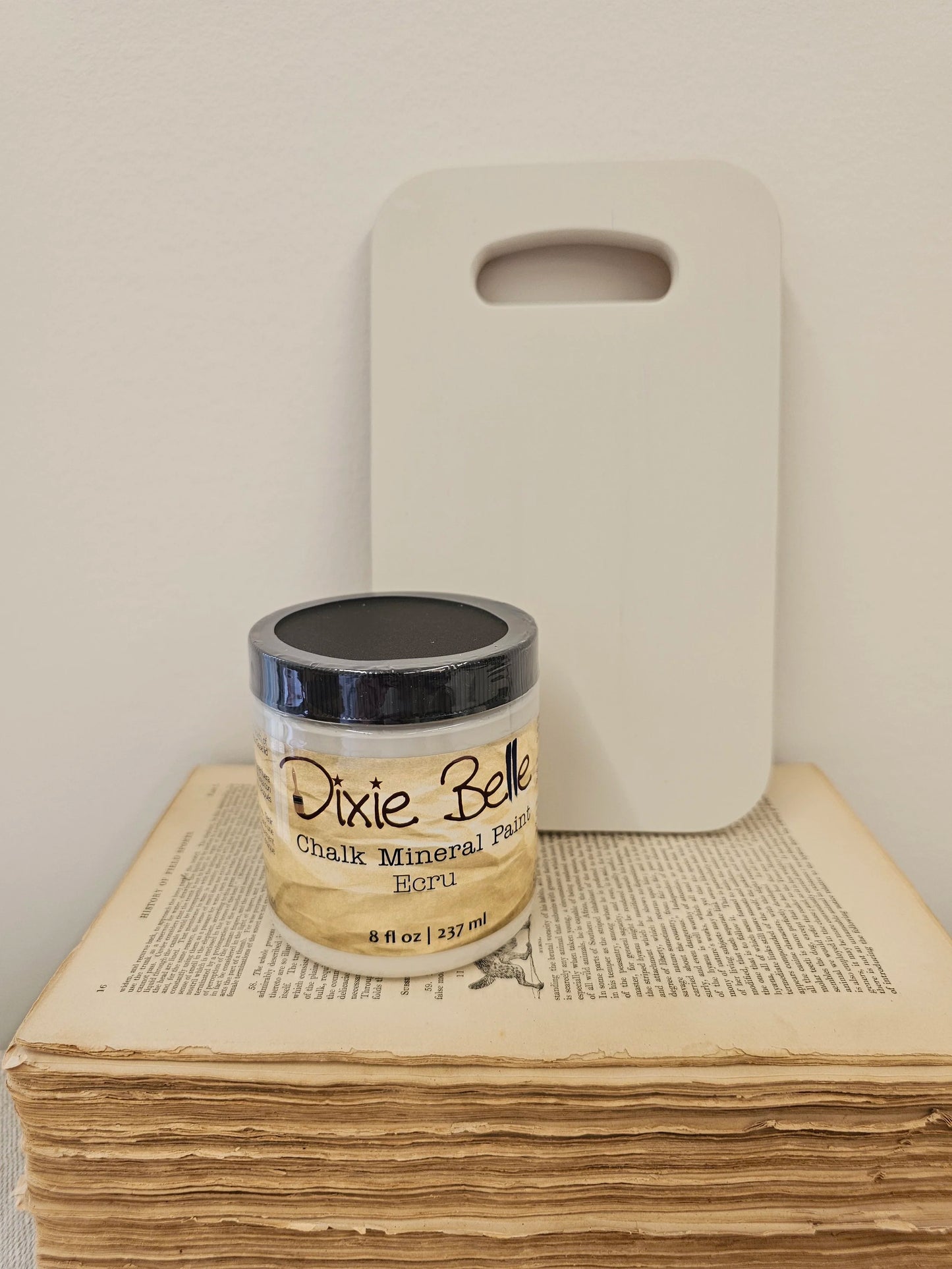 Ecru- Dixie Belle Chalk Mineral Paint