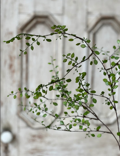 Rarrick Leaves Spray | 40 | faux branch home decor