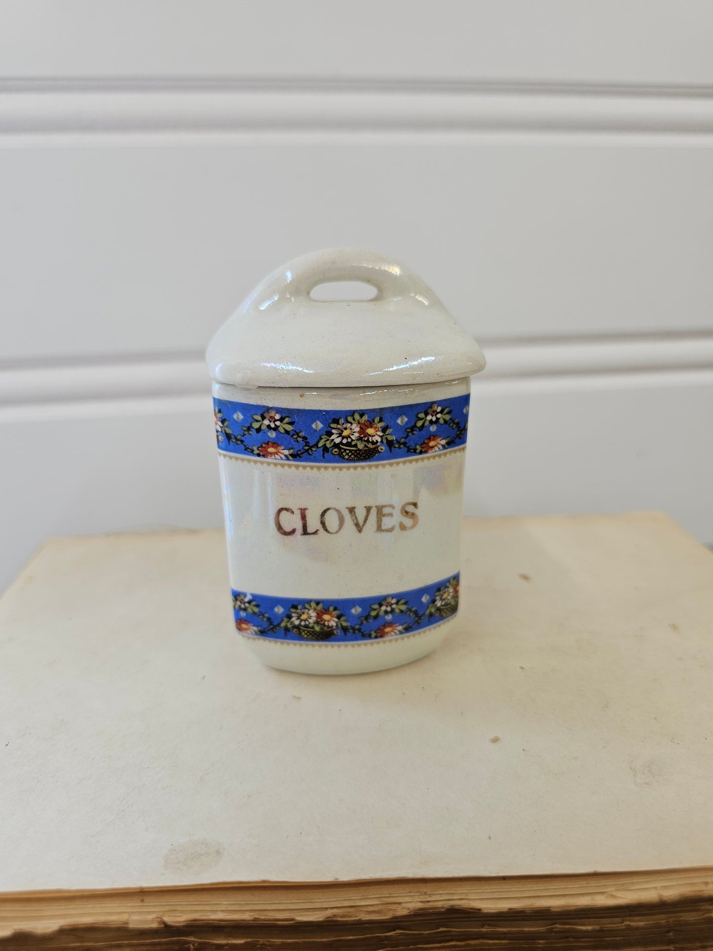 blue and white Cloves Spice Jar - Made in Czechoslovakia