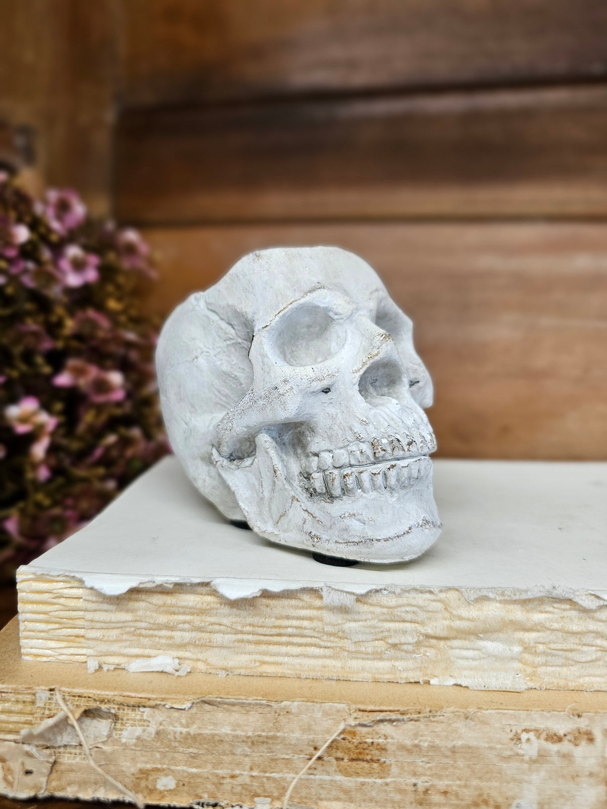 Concrete Momento Mori Skull
