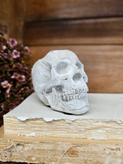 Concrete Momento Mori Skull