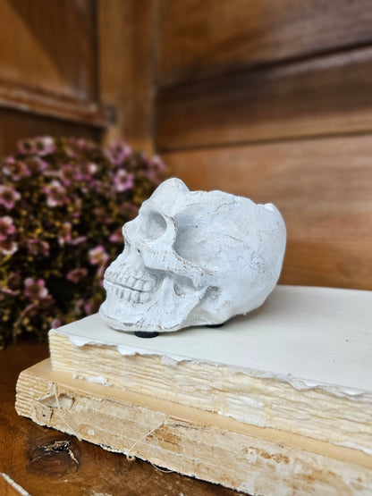 Concrete Momento Mori Skull