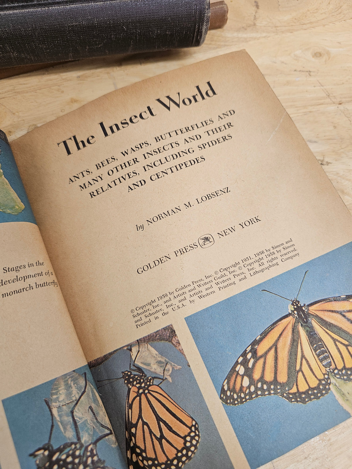 Set of 3 books - Butterflies and Moths, The Insect World, Mrs. Wag - a Doggy Tale