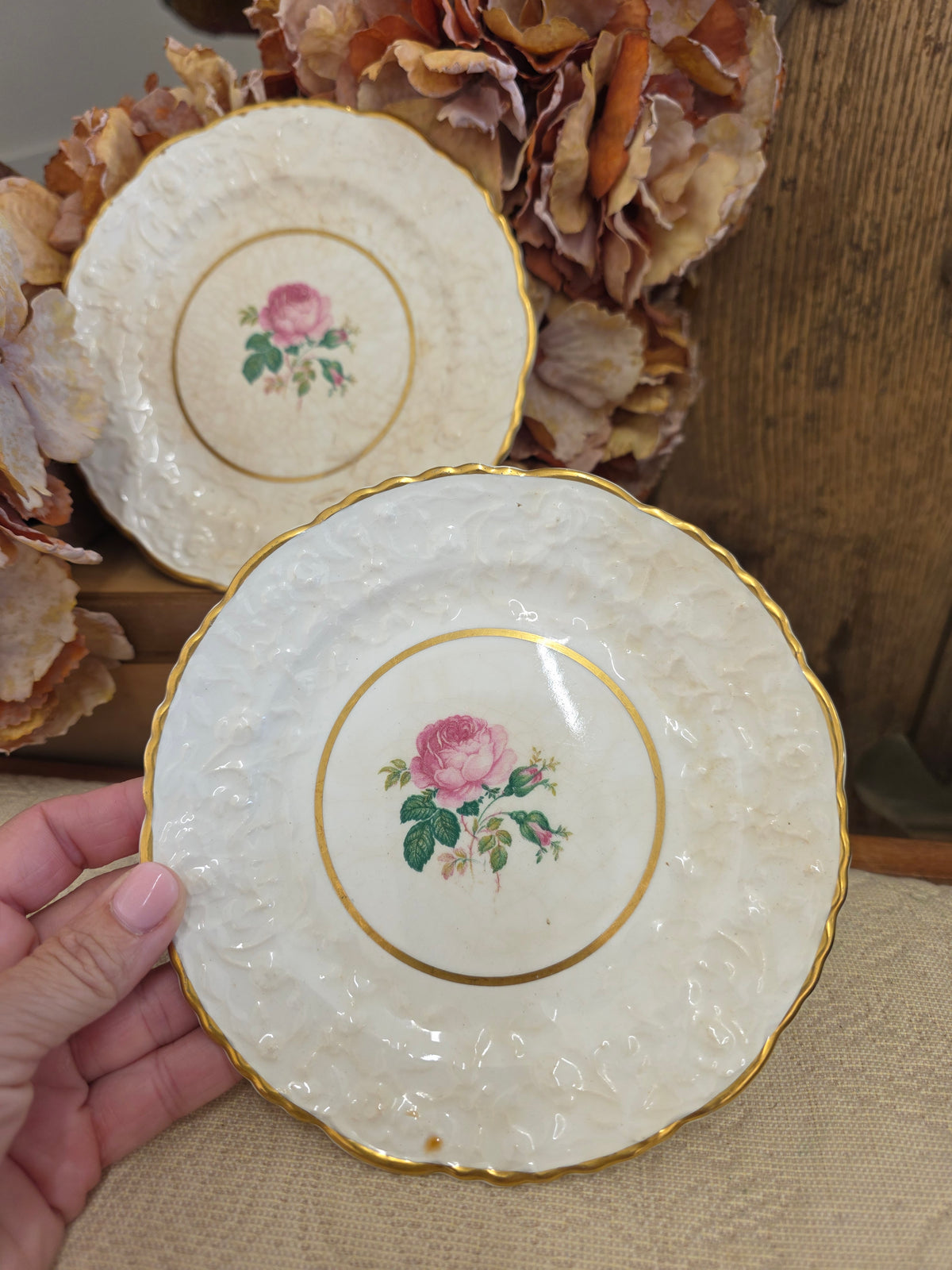 Vintage Rose Point Plates — Set of 2