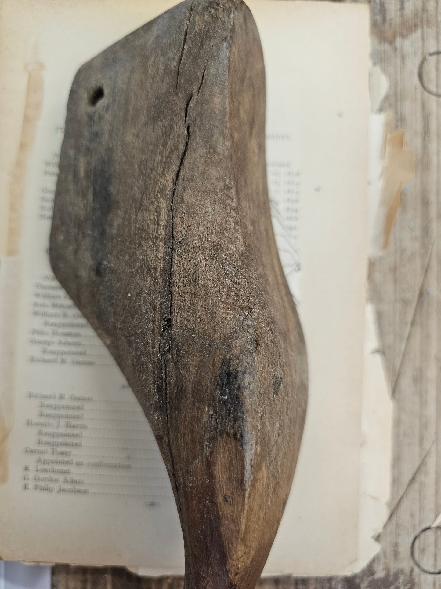 Wooden Shoe Form