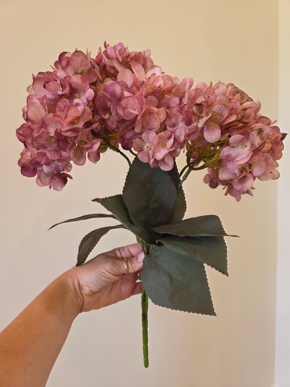 Jewel toned hydrangea
