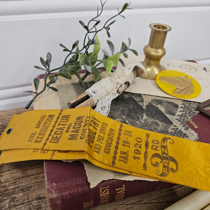 Create your own vignette - 10 items - C