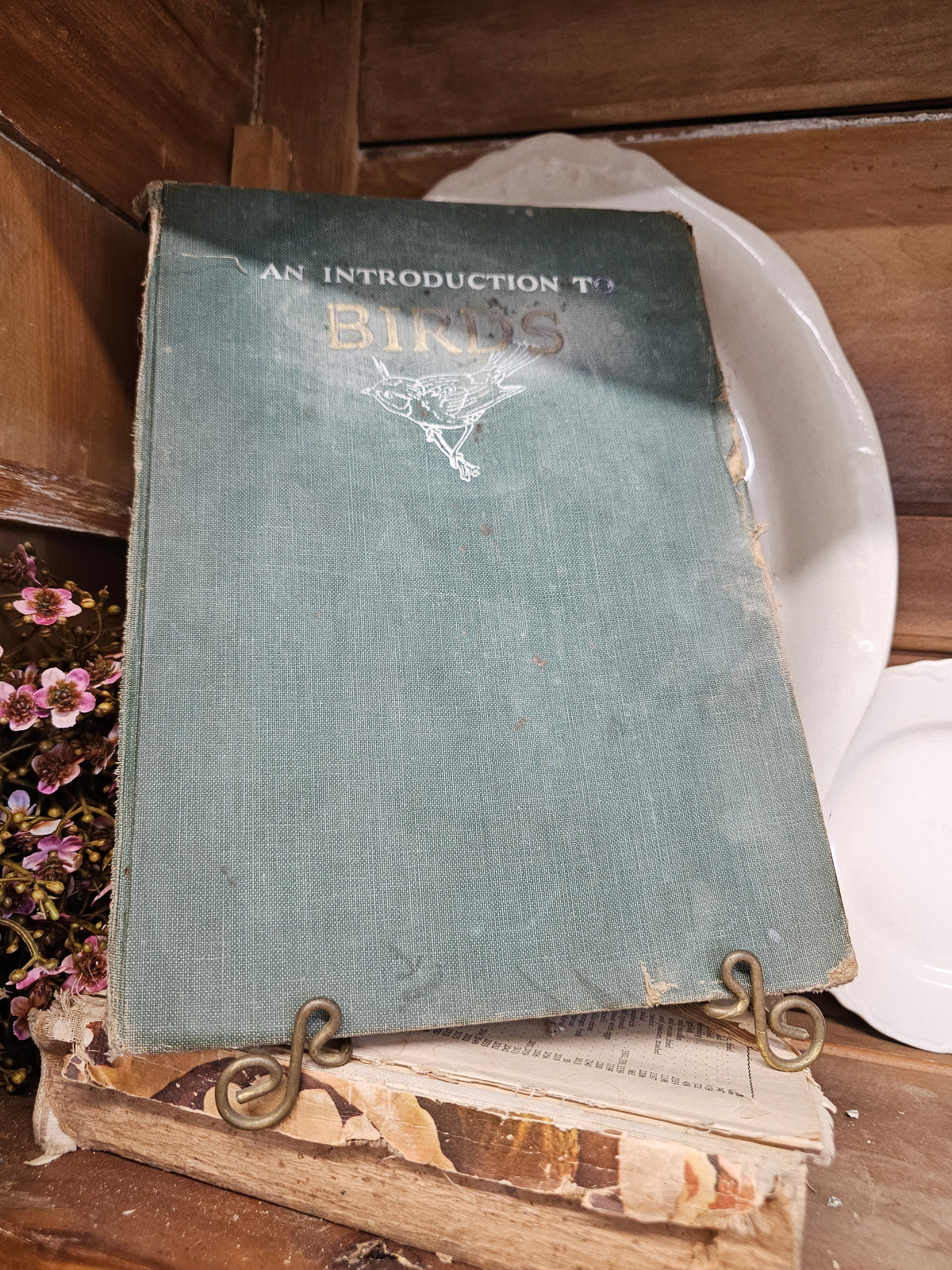 An introduction to birds by John kieran