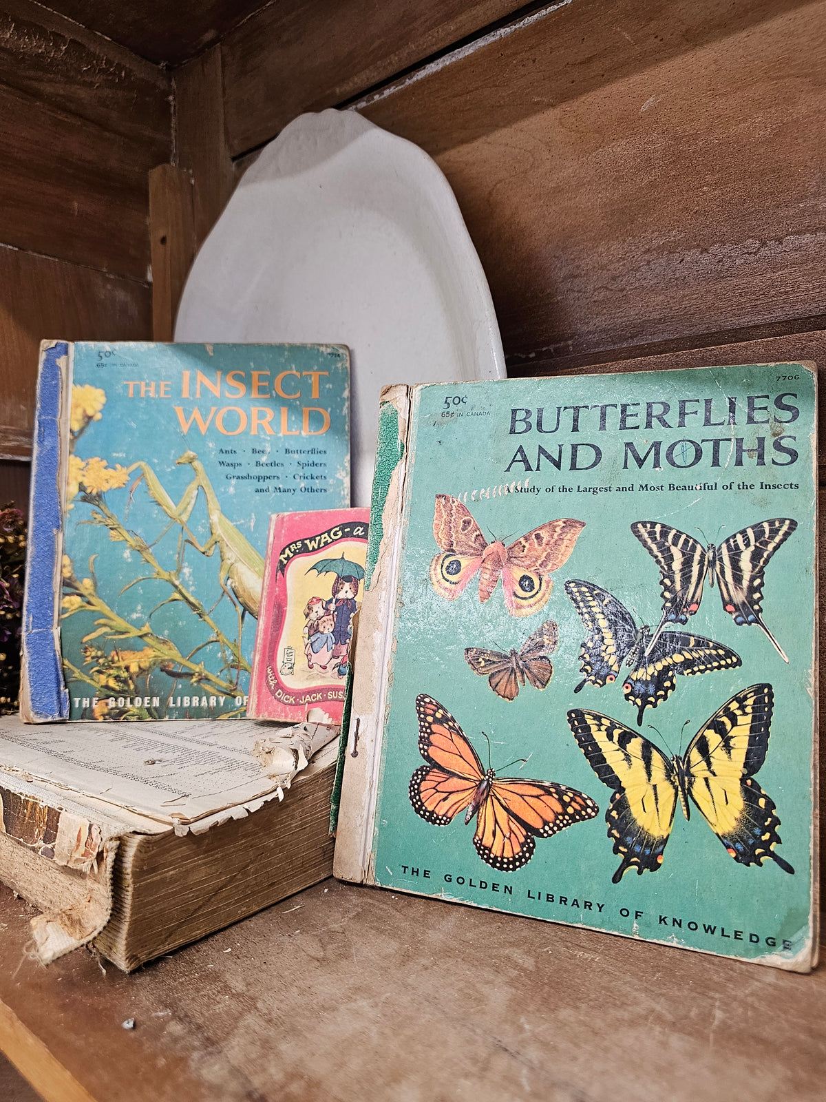Set of 3 books - Butterflies and Moths, The Insect World, Mrs. Wag - a Doggy Tale