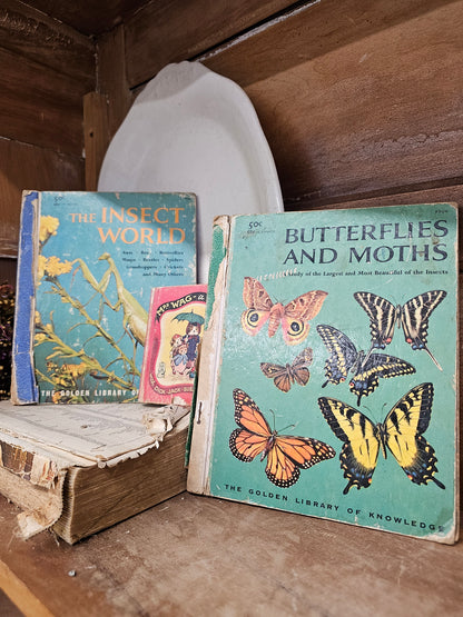 Set of 3 books - Butterflies and Moths, The Insect World, Mrs. Wag - a Doggy Tale