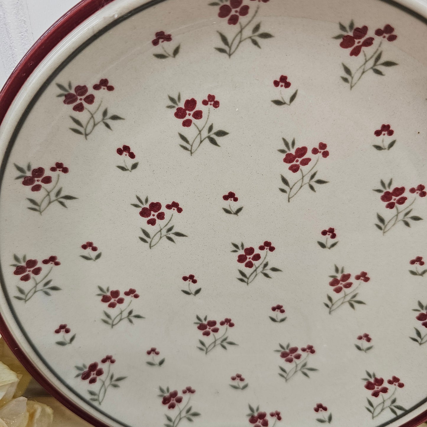 Set of Newcor Stoneware Salad Plate & Homer Laughlin China Saucer