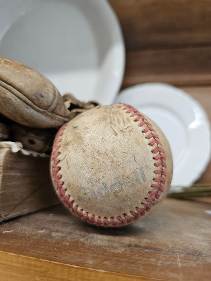 Baseball and Leather mitt
