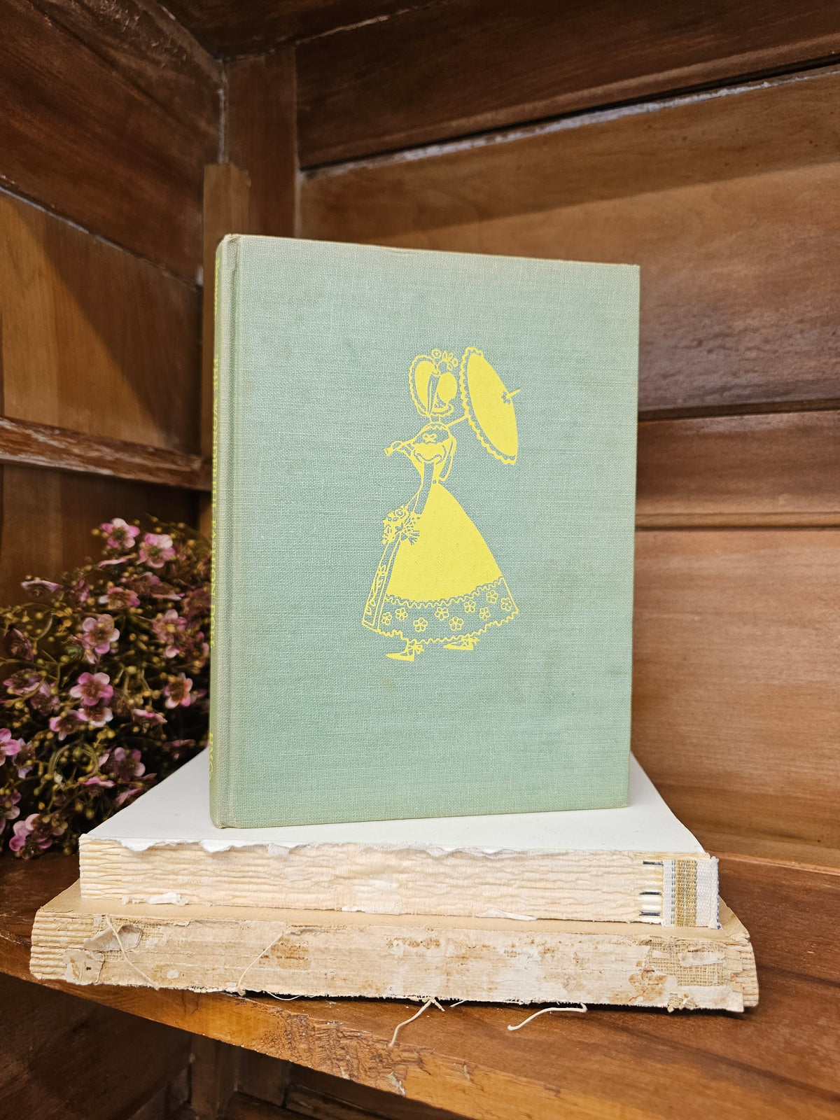 The Wonderful Fashion Doll book
