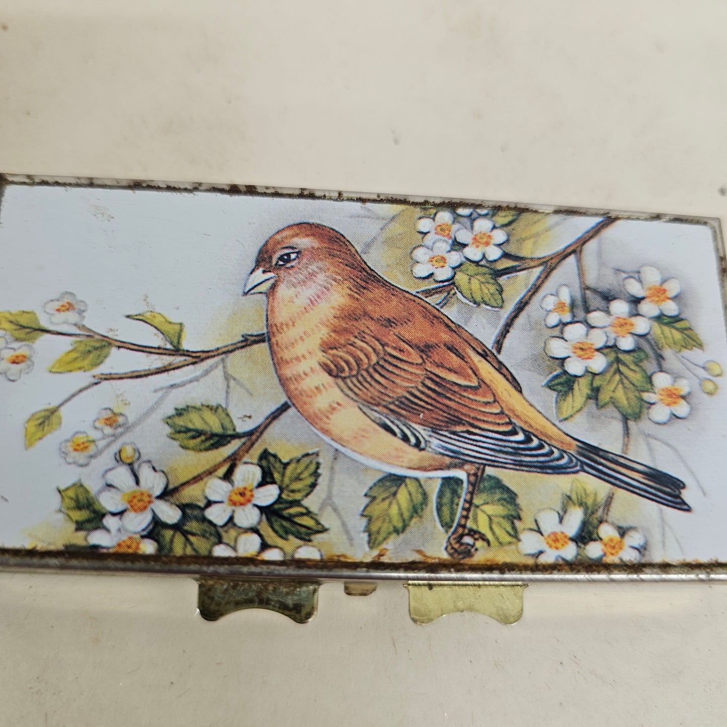 vintage Brass bird pill case