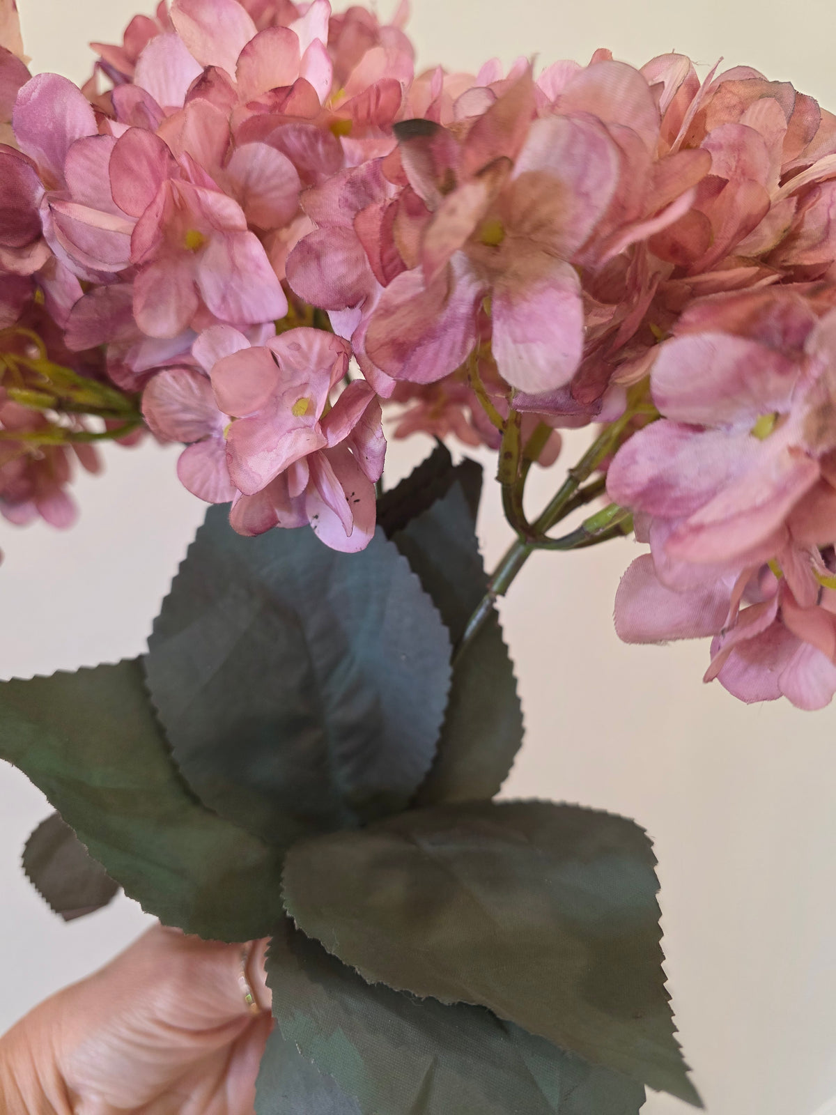 Jewel toned hydrangea