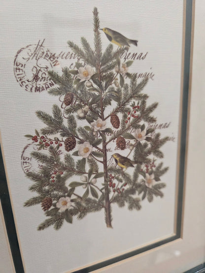 14.5 x 11.5  Framed Art