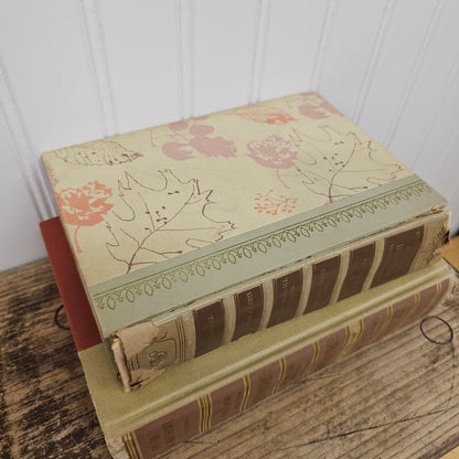 Set of 2 fall colored books