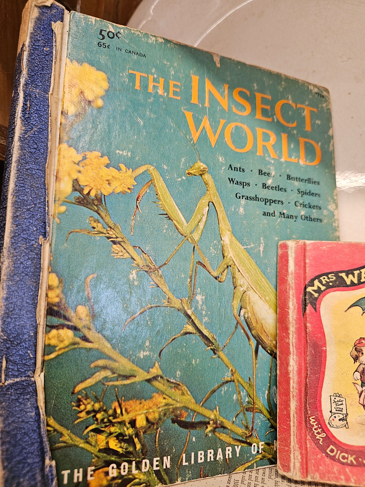 Set of 3 books - Butterflies and Moths, The Insect World, Mrs. Wag - a Doggy Tale