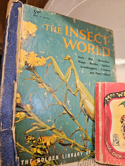 Set of 3 books - Butterflies and Moths, The Insect World, Mrs. Wag - a Doggy Tale