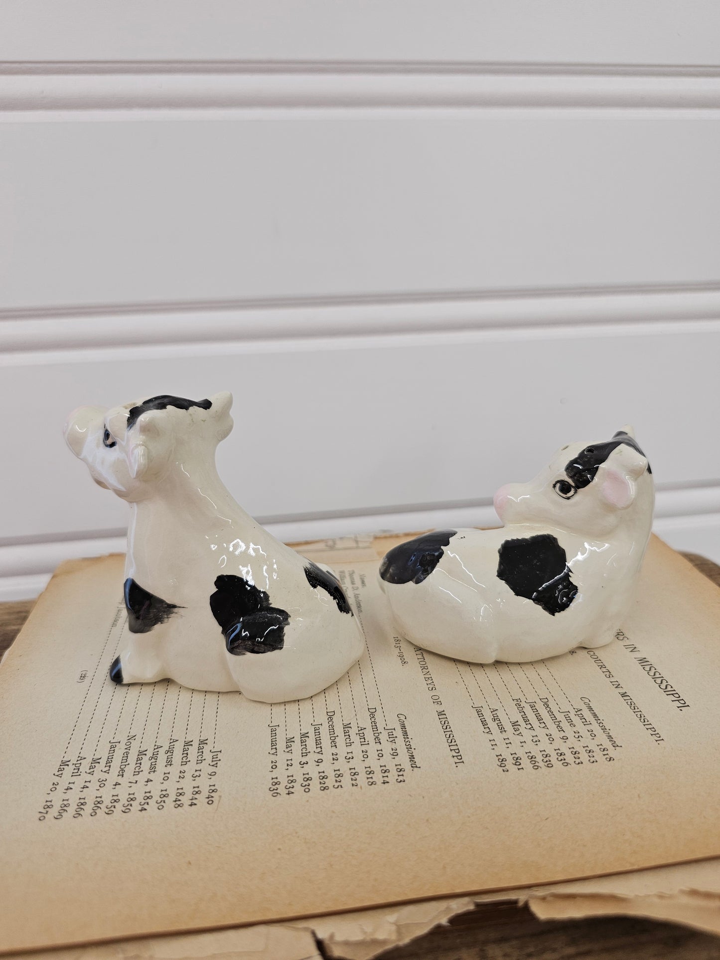 Cow Salt & Pepper Shakers - No Stoppers