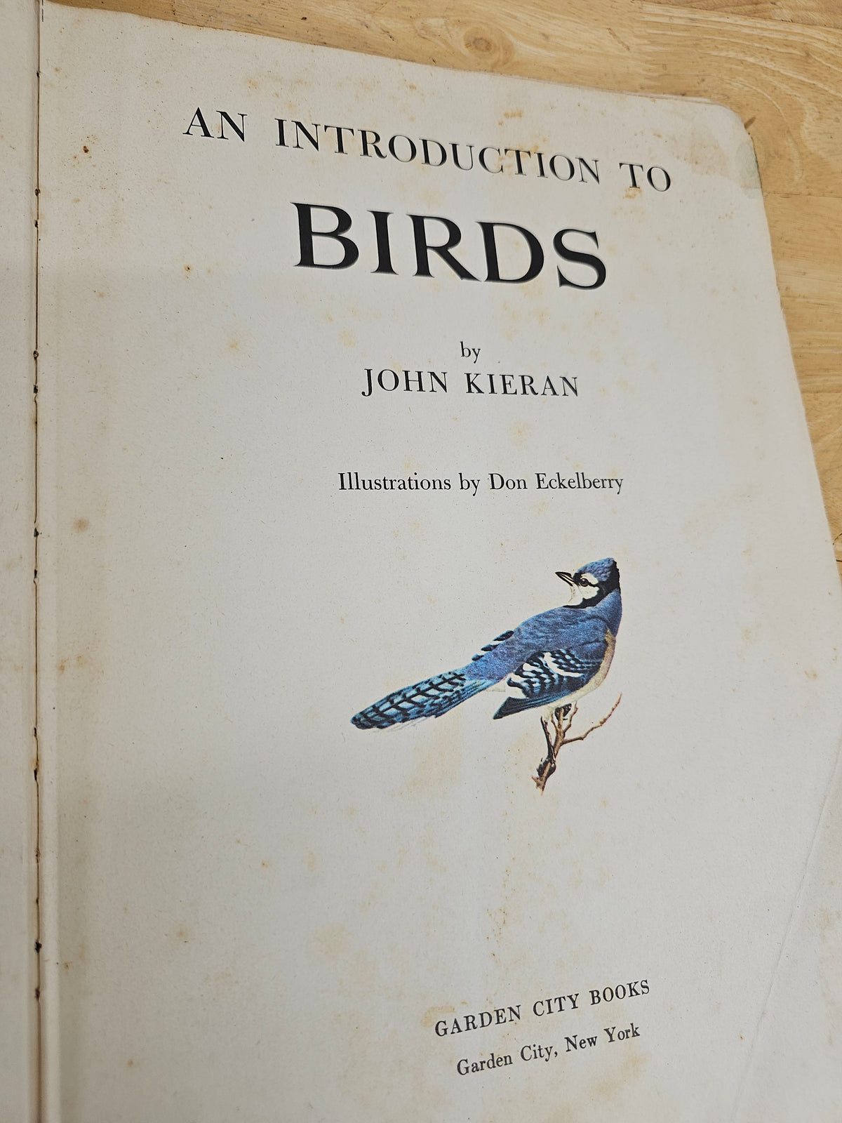 An introduction to birds by John kieran