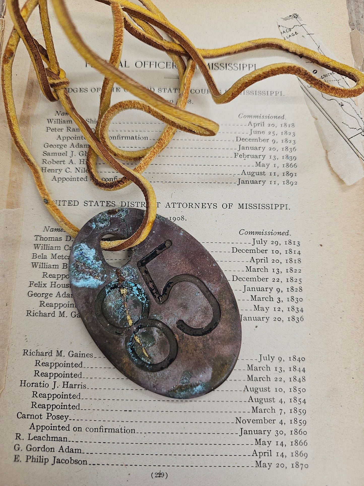 Vintage Copper #85 Tag