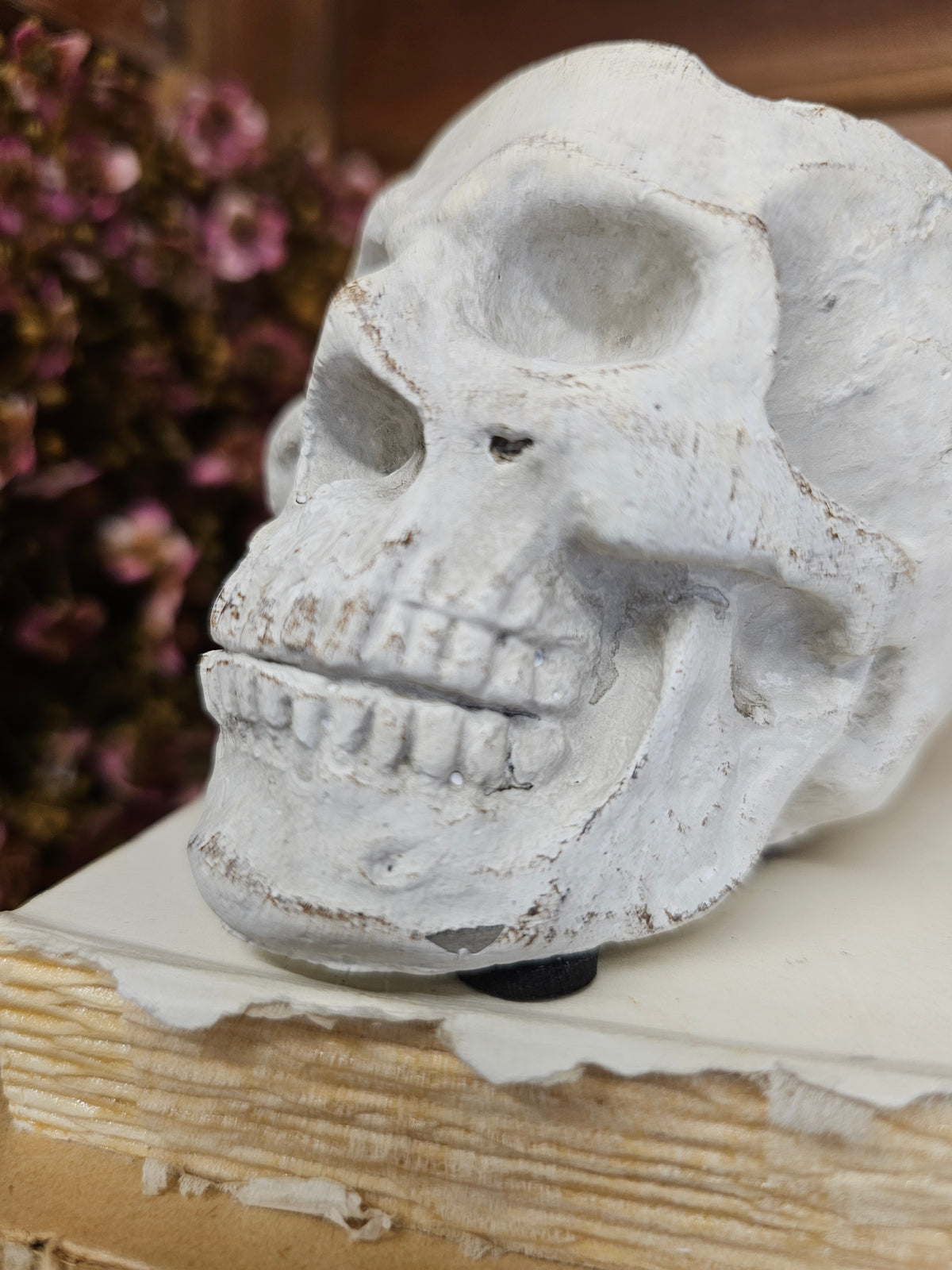 Concrete Momento Mori Skull