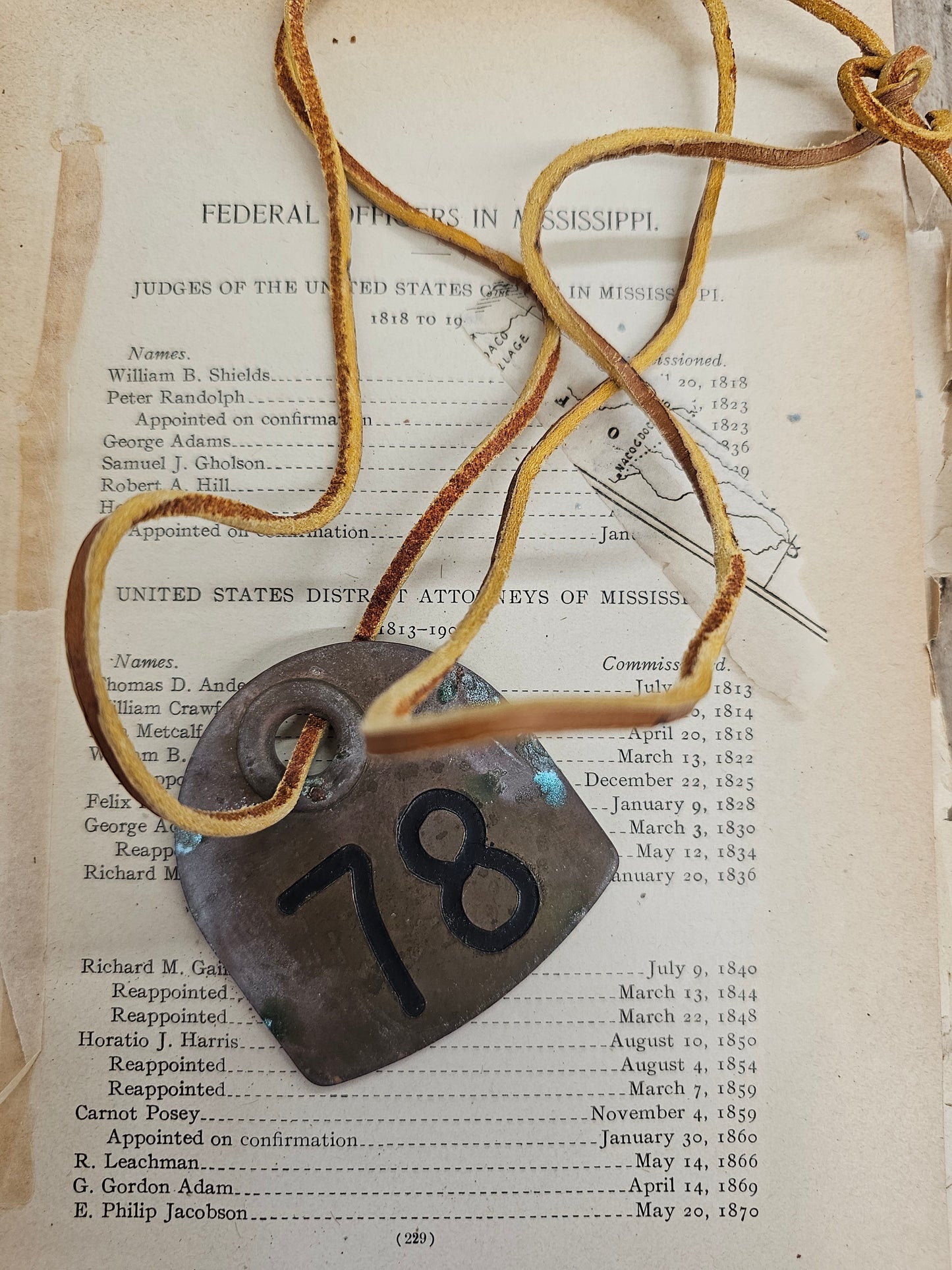 Vintage Copper #78 Tag