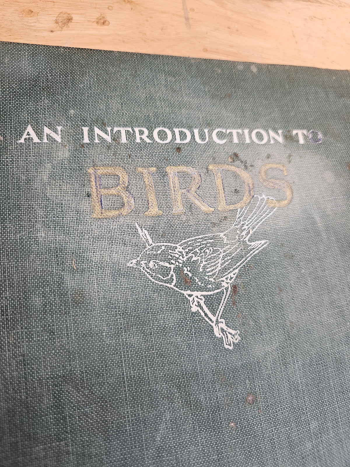 An introduction to birds by John kieran