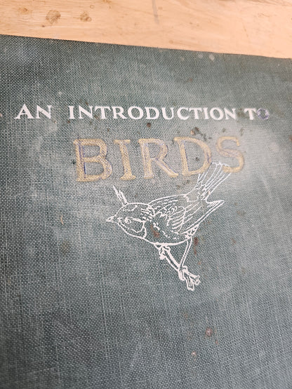 An introduction to birds by John kieran