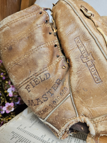 Baseball and Leather mitt