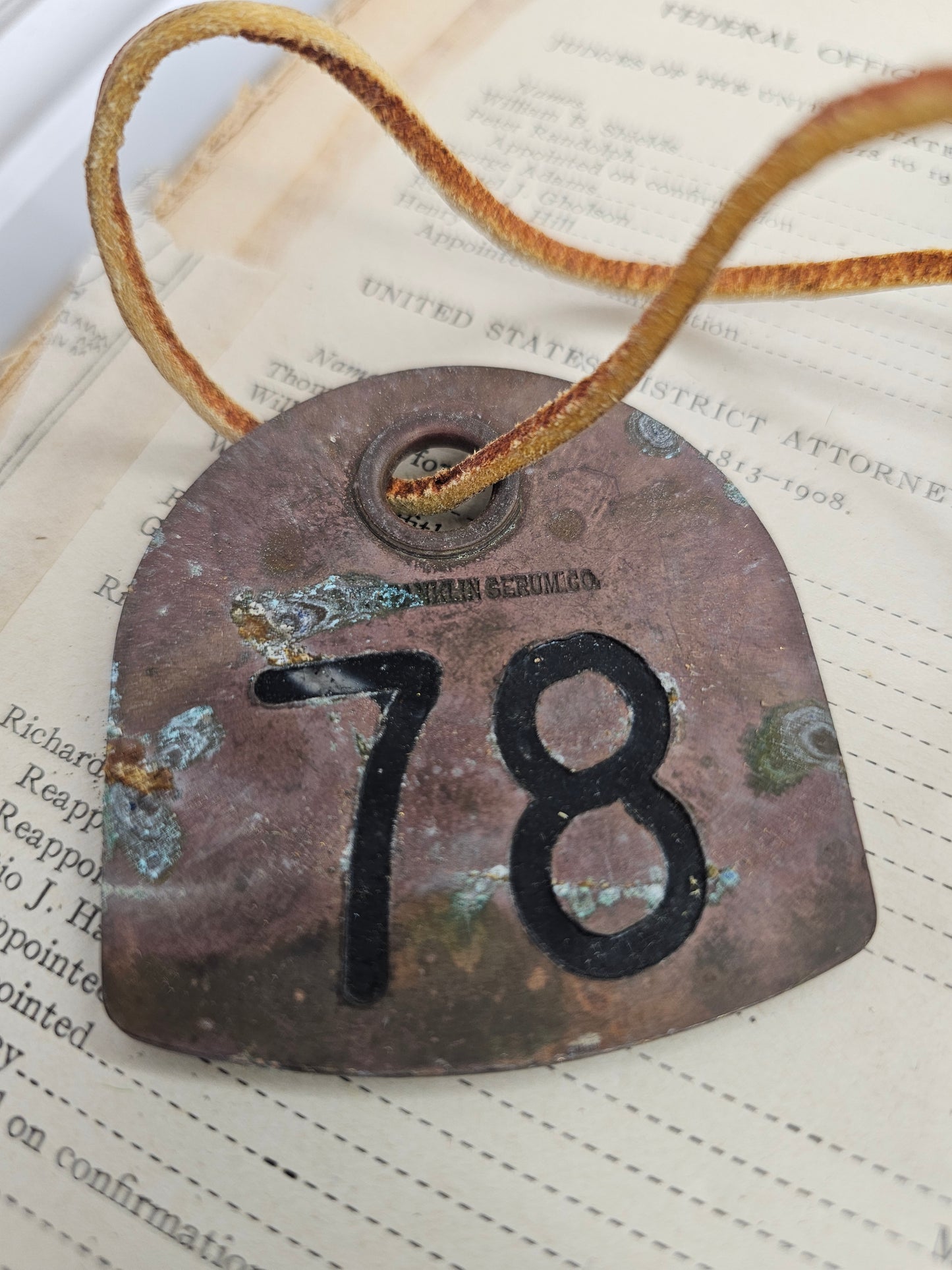 Vintage Copper #78 Tag