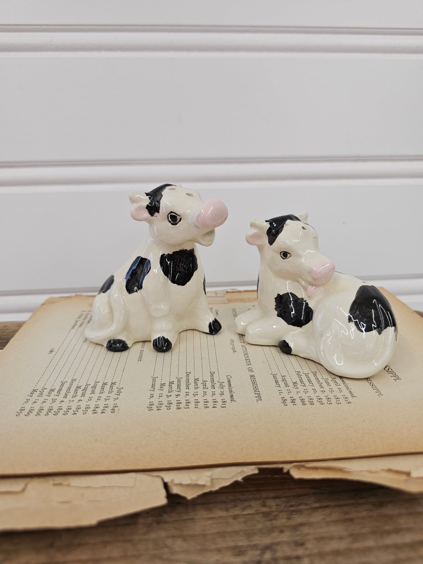 Cow Salt & Pepper Shakers - No Stoppers
