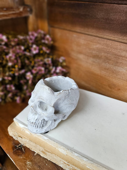 Concrete Momento Mori Skull