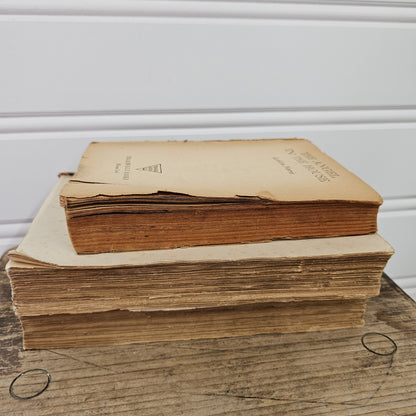 3 Vintage Books