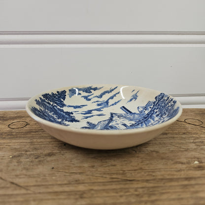 Blue and White Bowl, Japan