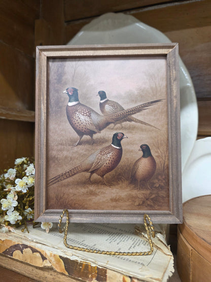 Pheasant Framed Art