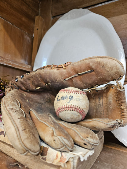 Baseball and Leather mitt