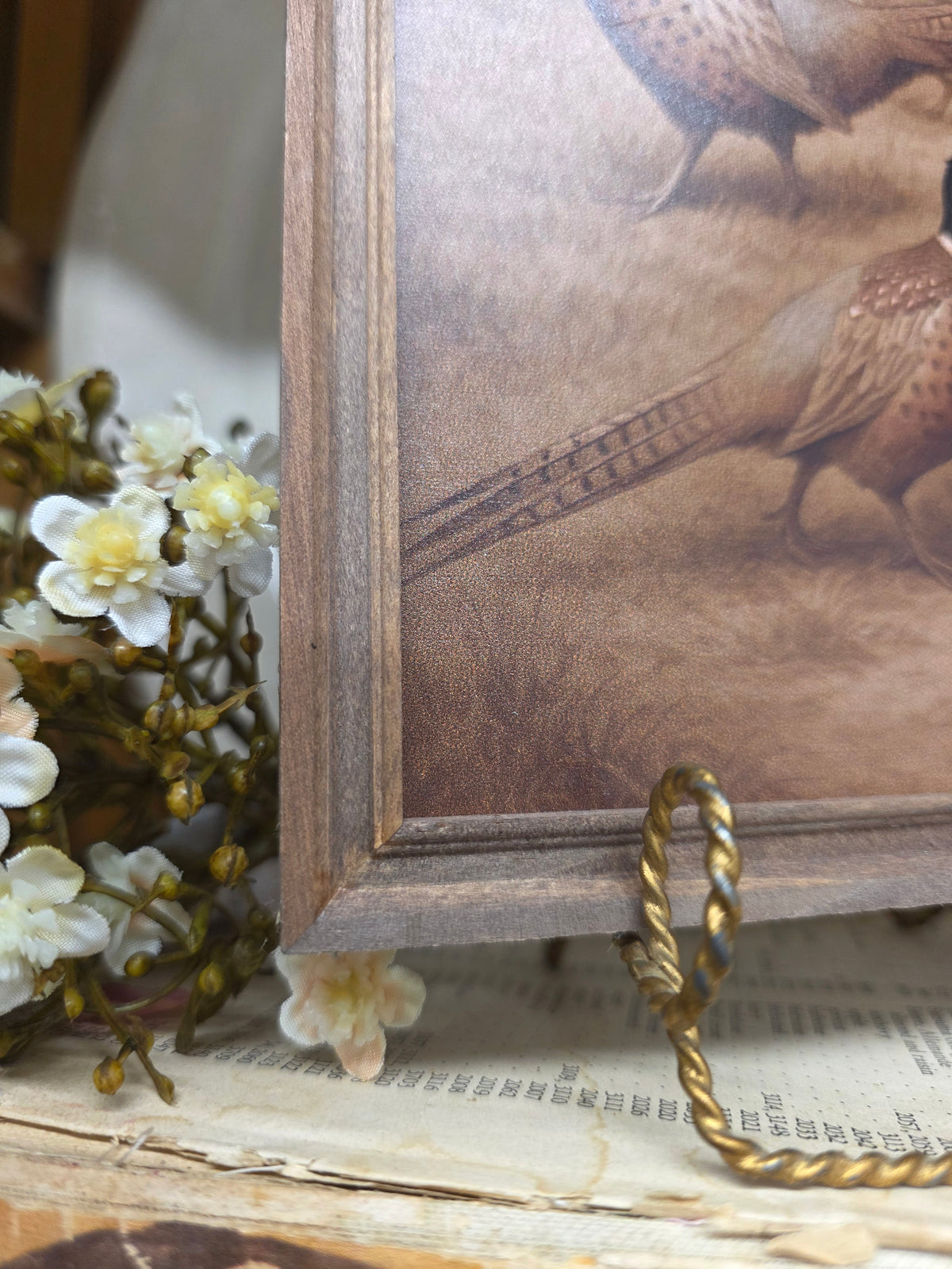 Pheasant Framed Art