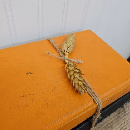 Orange and black book set