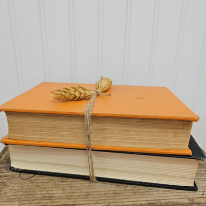 Orange and black book set