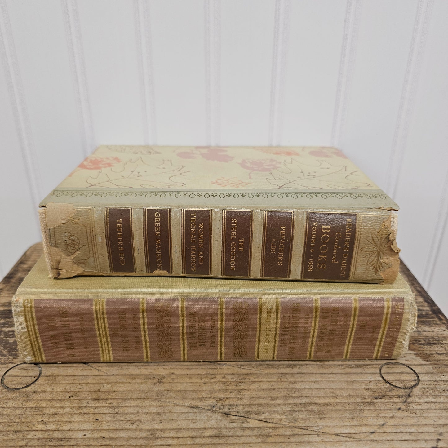 Set of 2 fall colored books