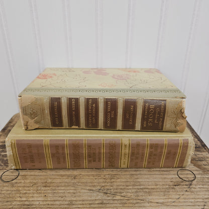 Set of 2 fall colored books